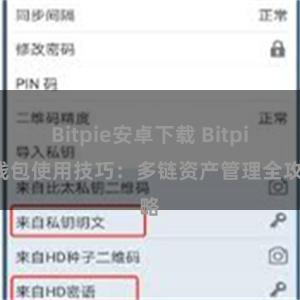 Bitpie安卓下载 Bitpie钱包使用技巧：多链资产管理全攻略