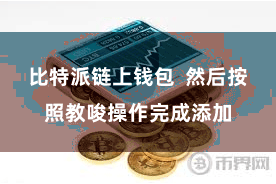 比特派链上钱包  然后按照教唆操作完成添加
