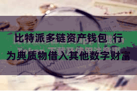 比特派多链资产钱包  行为典质物借入其他数字财富