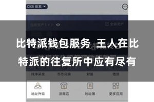 比特派钱包服务  王人在比特派的往复所中应有尽有