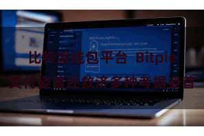 比特派钱包平台  Bitpie支付姿首还救济多种考据姿首