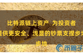 比特派链上资产  为投资者提供更安全、浅显的钞票支捏步地