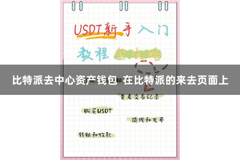 比特派去中心资产钱包  在比特派的来去页面上