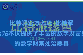 比特派官方入口  比特派的官方网站不仅提供了丰富的数字财富处治器具