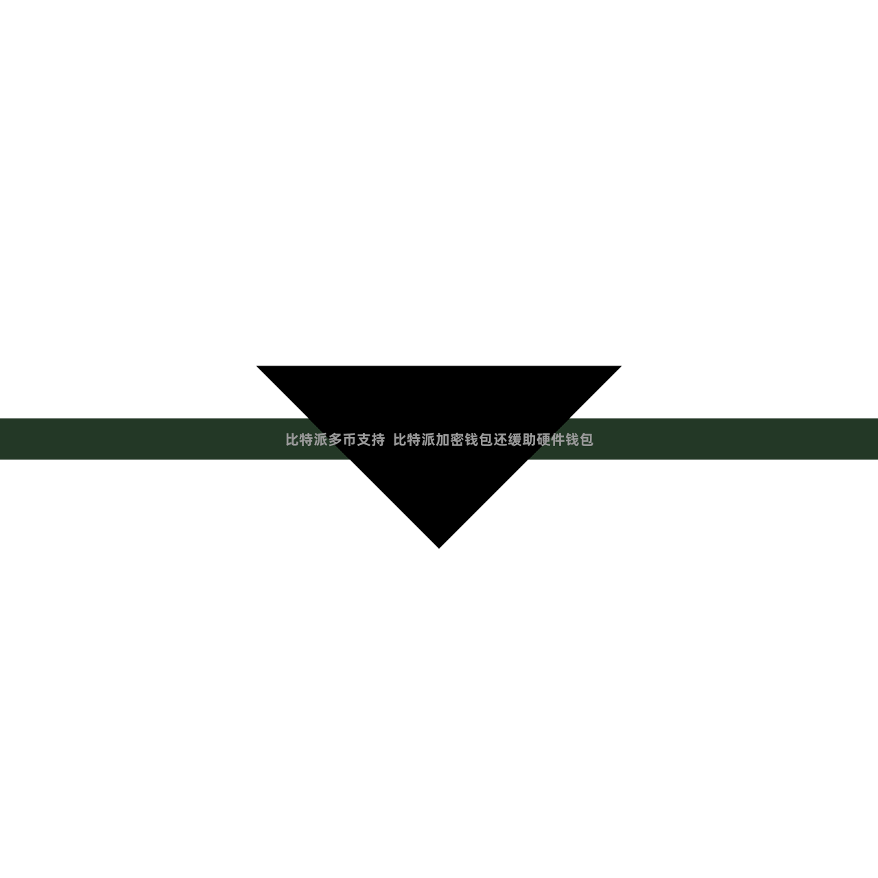 比特派多币支持  比特派加密钱包还缓助硬件钱包