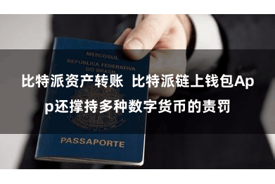 比特派资产转账  比特派链上钱包App还撑持多种数字货币的责罚