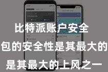 比特派账户安全  比特派钱包的安全性是其最大的上风之一